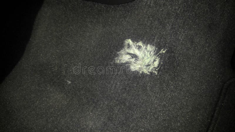 Xalçadan Saqqızı Çıxarmağın Ən Efektli Üsulları