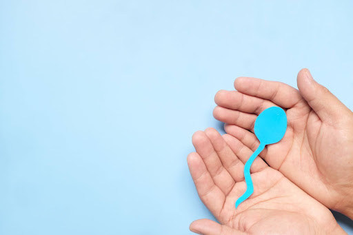 Sperma Keyfiyyətini Artırmaq Üçün Professional Tövsiyələr